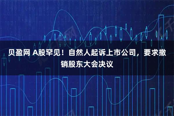 贝盈网 A股罕见！自然人起诉上市公司，要求撤销股东大会决议