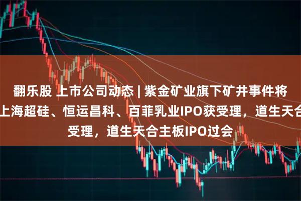 翻乐股 上市公司动态 | 紫金矿业旗下矿井事件将影响净利润，上海超硅、恒运昌科、百菲乳业IPO获受理，道生天合主板IPO过会