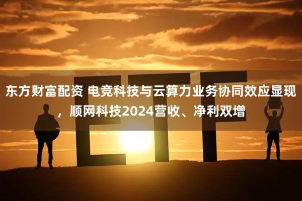 东方财富配资 电竞科技与云算力业务协同效应显现，顺网科技2024营收、净利双增