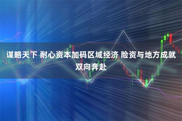 谋略天下 耐心资本加码区域经济 险资与地方成就双向奔赴