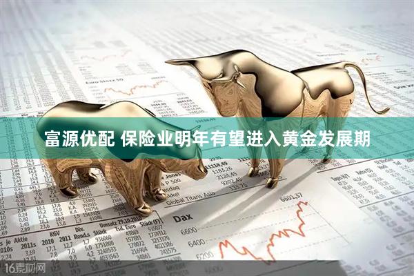 富源优配 保险业明年有望进入黄金发展期